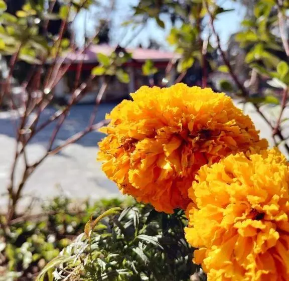 هتل Husnain Resort By Saud Khan