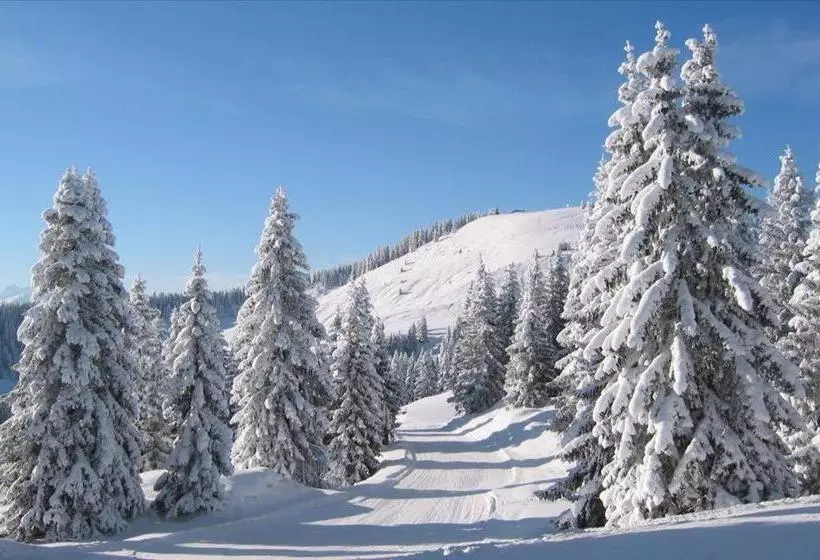 ホテル Oberachenhof