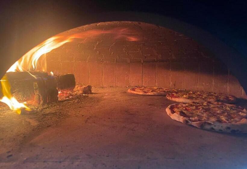 فندق Sinner S Shelby