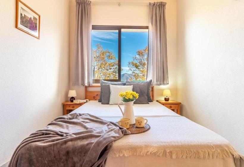 Apartamento Port Ducal