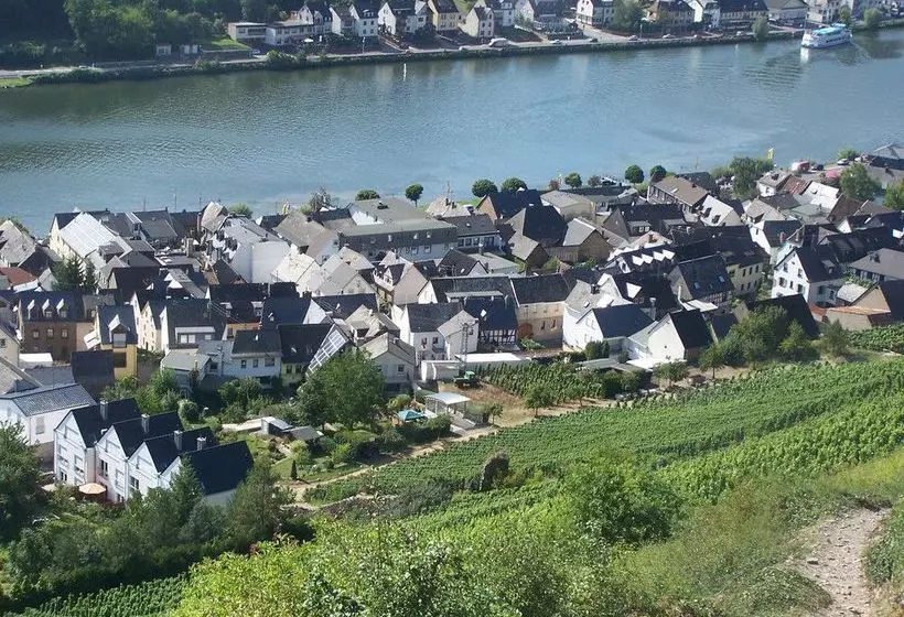 ホテル Ferienwohnung In Alken Mosel