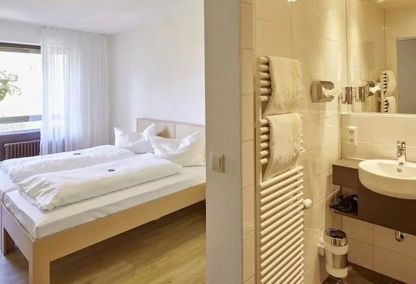 호텔 Gästehaus Goethe