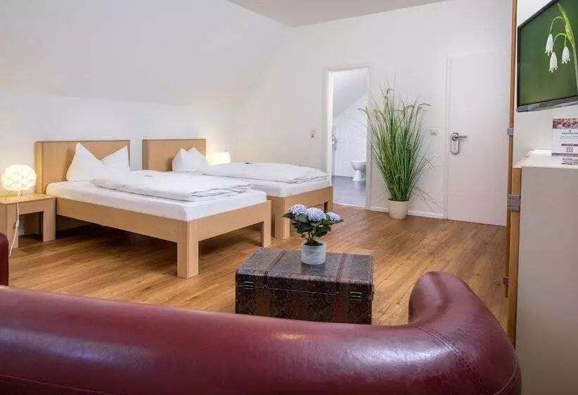 호텔 Gästehaus Goethe