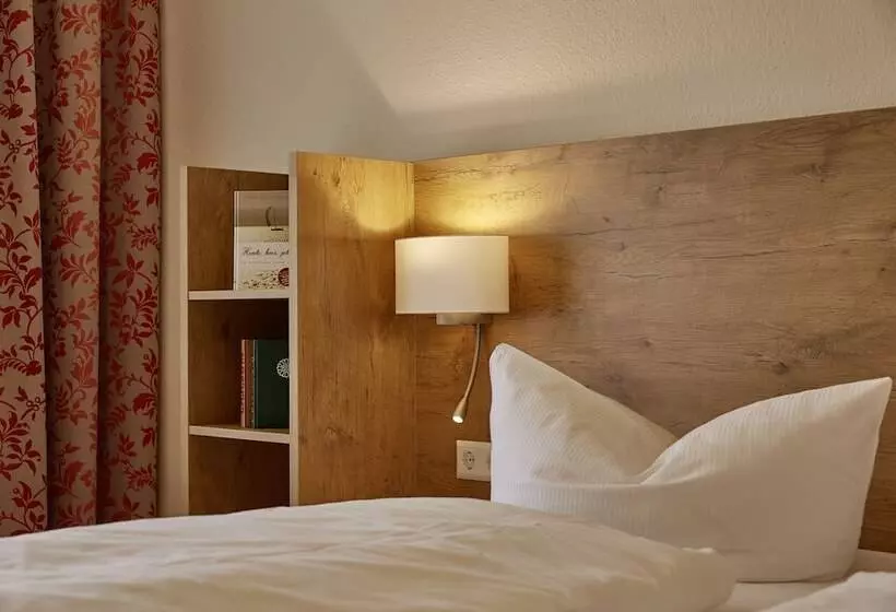 호텔 Gästehaus Goethe