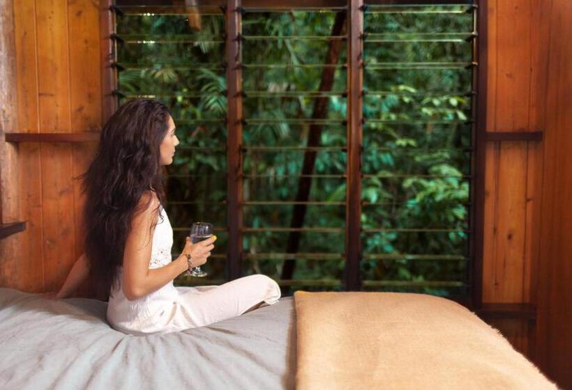 בית מלון כפרי The Canopy Rainforest Treehouses & Wildlife Sanctuary