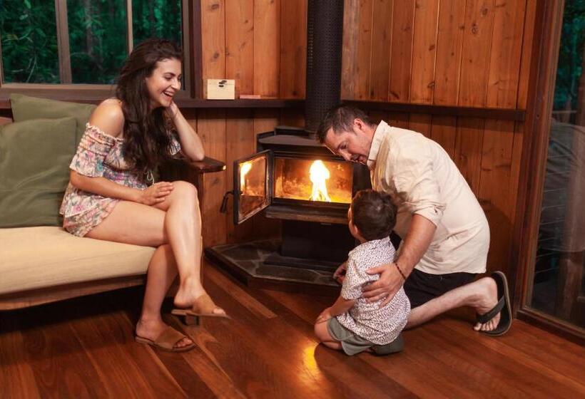 בית מלון כפרי The Canopy Rainforest Treehouses & Wildlife Sanctuary