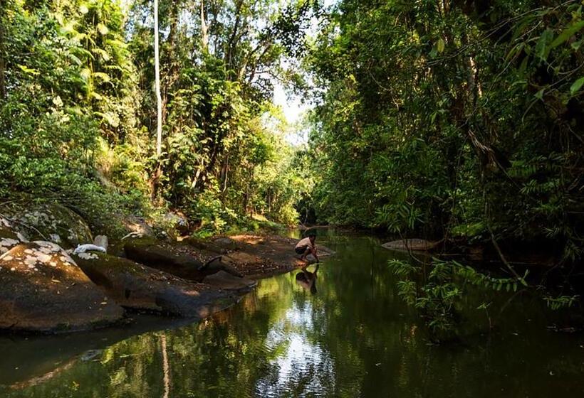 בית מלון כפרי The Canopy Rainforest Treehouses & Wildlife Sanctuary
