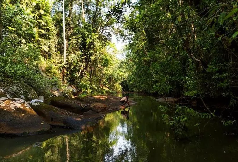 Отель The Canopy Rainforest Treehouses & Wildlife Sanctuary