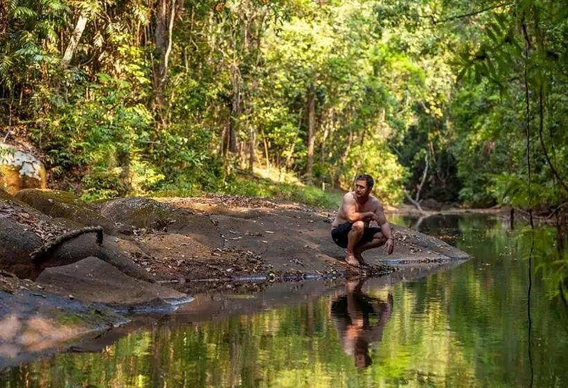 Отель The Canopy Rainforest Treehouses & Wildlife Sanctuary