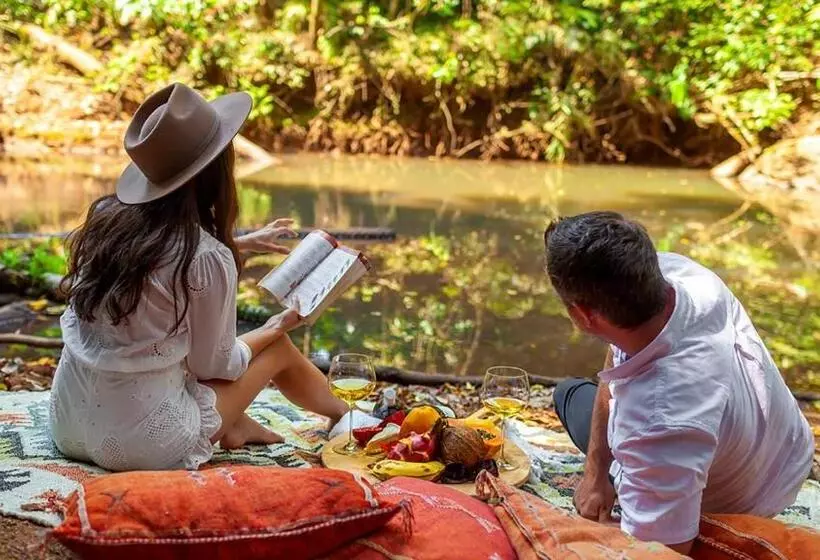 Отель The Canopy Rainforest Treehouses & Wildlife Sanctuary