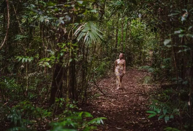 Отель The Canopy Rainforest Treehouses & Wildlife Sanctuary