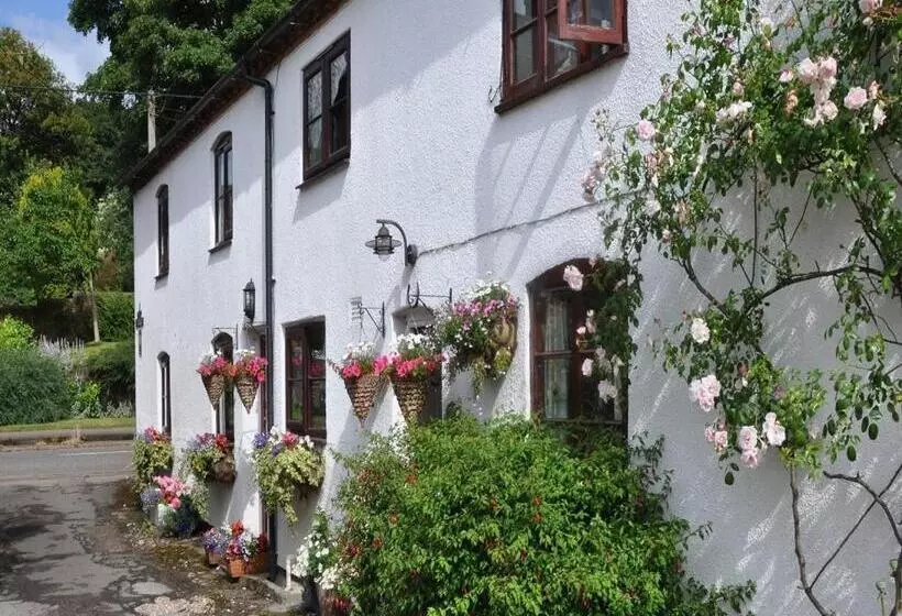 Shepherds Row Bed And Breakfast