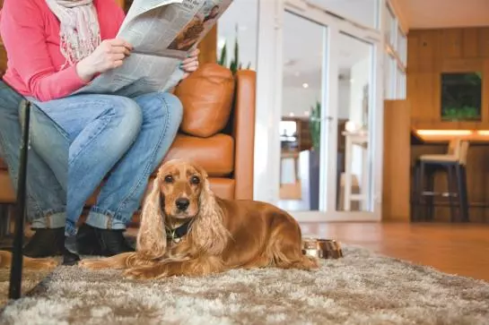 Upstalsboom Hotel Deichgraf