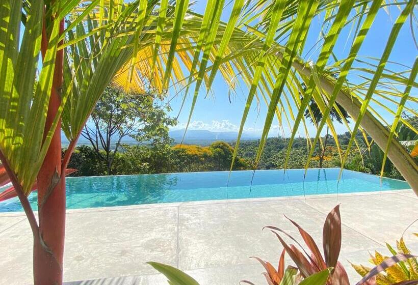 هتل Casa Libertinn