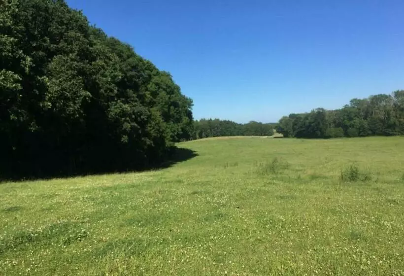 ホテル Ferienwohnung In Alt Karin