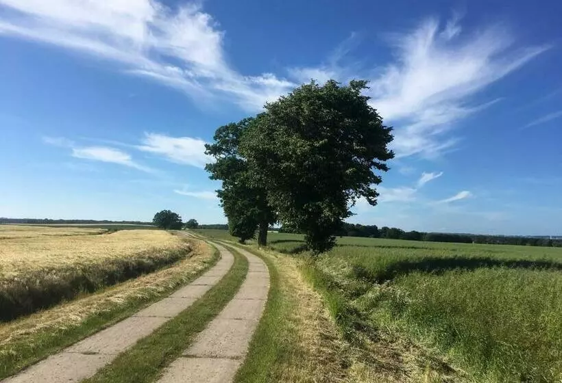 ホテル Ferienwohnung In Alt Karin