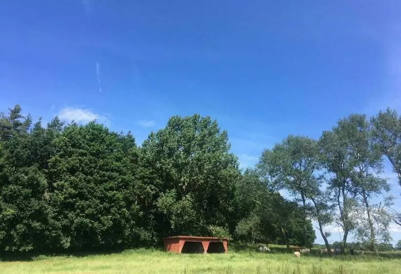 ホテル Ferienwohnung In Alt Karin