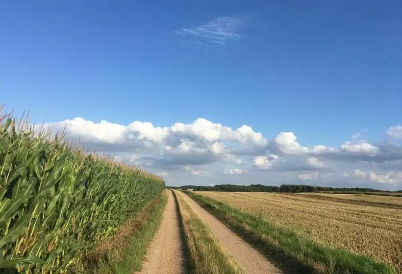 ホテル Ferienwohnung In Alt Karin