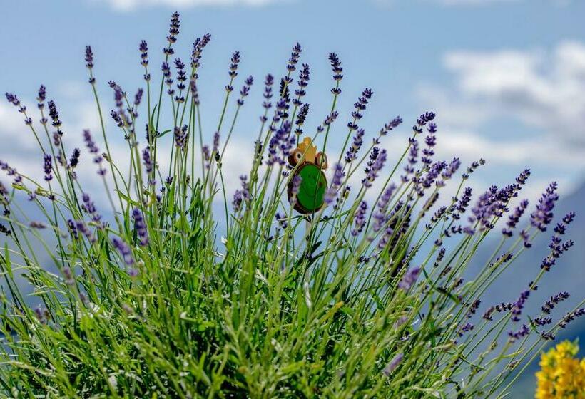 Mountain Village Hasenegg