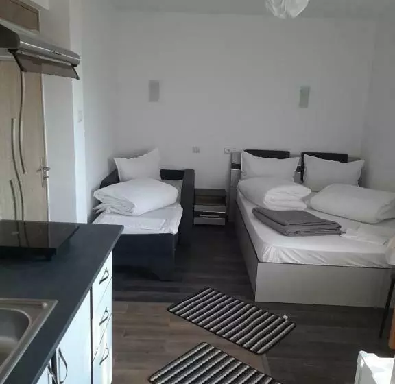 Pensió Apartamente Ambrus E