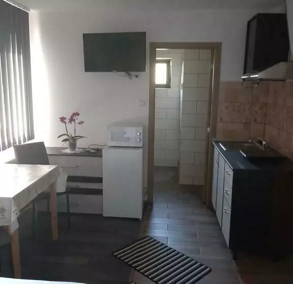 Pensió Apartamente Ambrus E