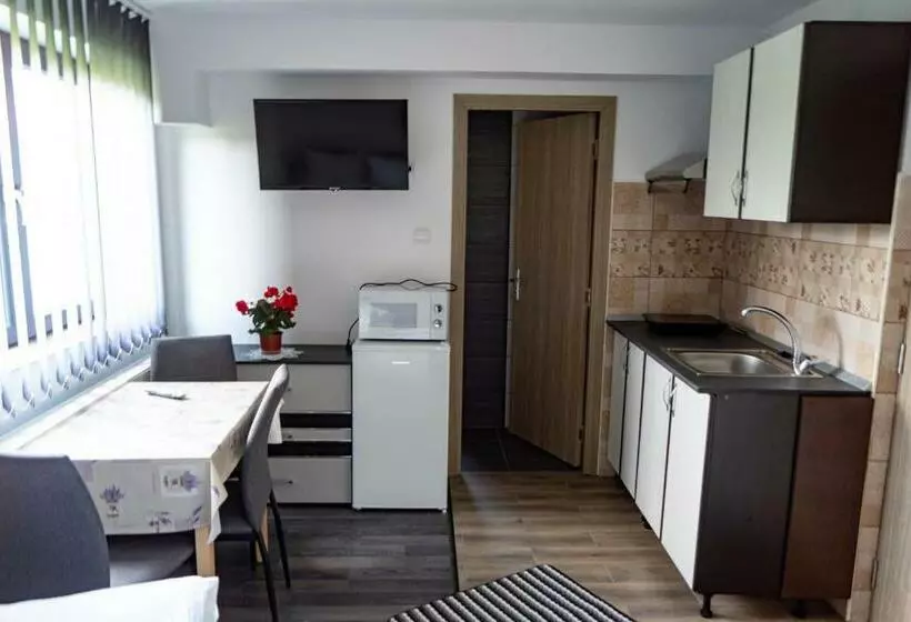 Pensió Apartamente Ambrus E
