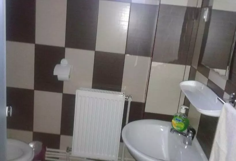 Pensió Apartamente Ambrus E