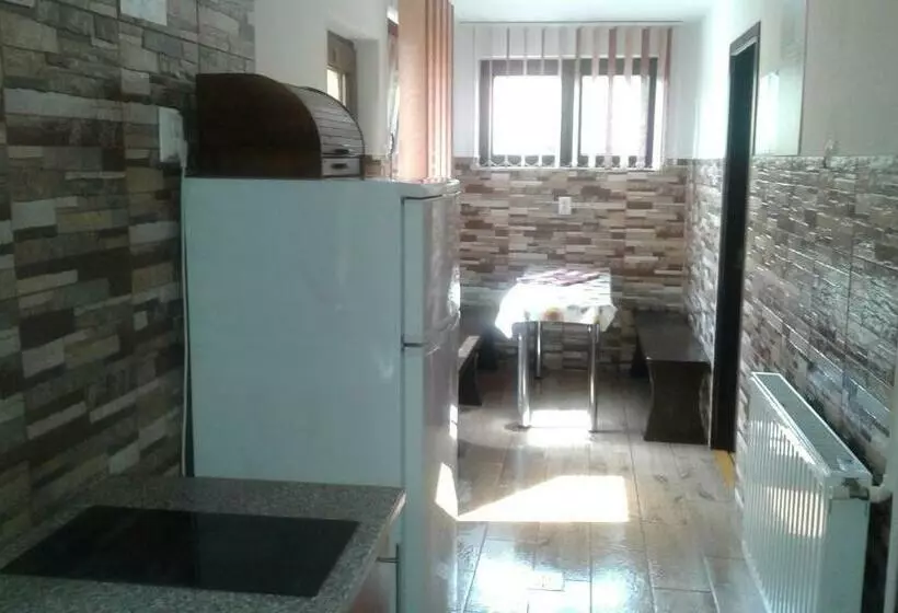 Pensió Apartamente Ambrus E