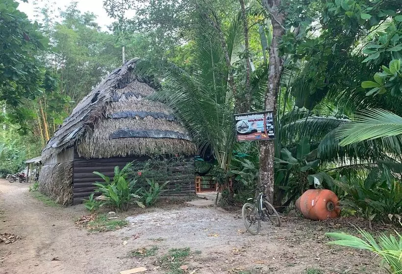 ペンション Indigenous Drake Cabins