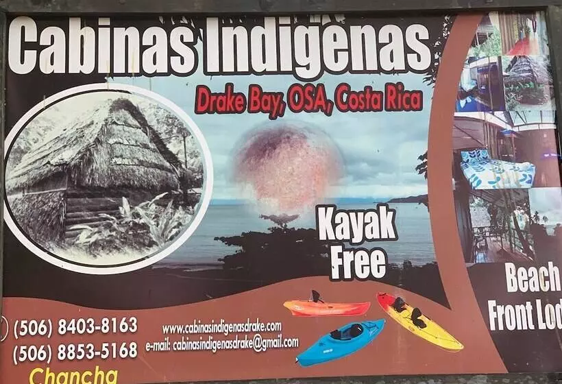 ペンション Indigenous Drake Cabins