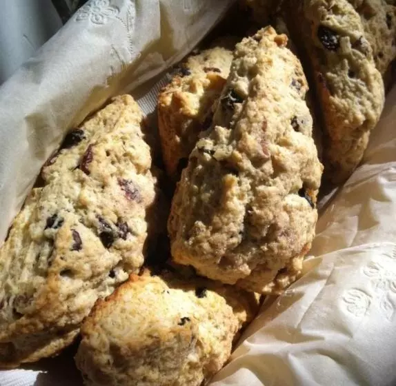 Turtle Island Bed And Breakfast