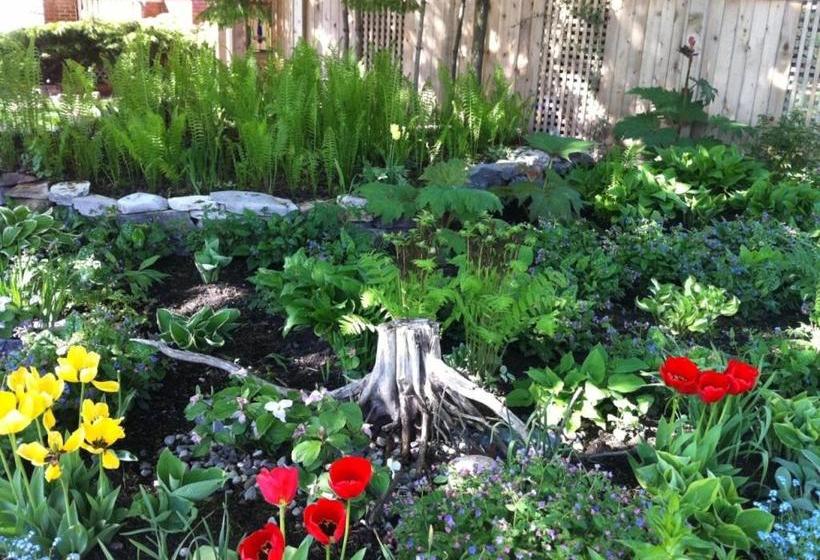 Turtle Island Bed And Breakfast