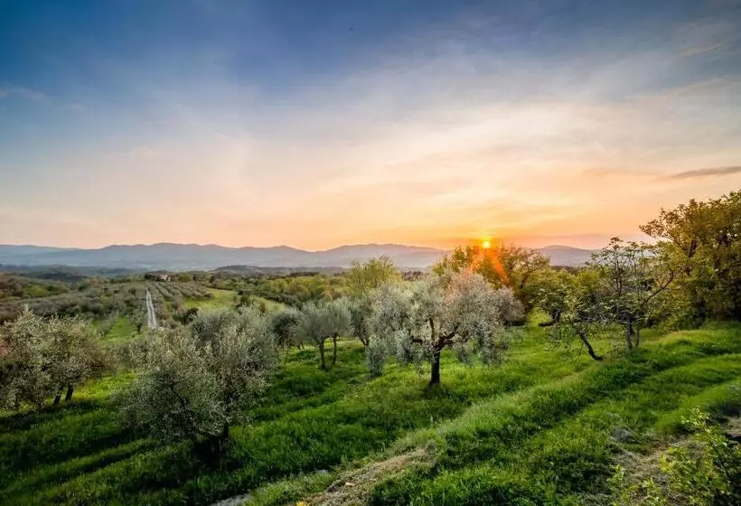B&b I Trebbiali