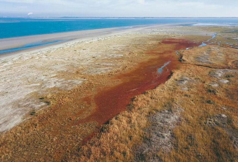 Dock Hotel Stellendam