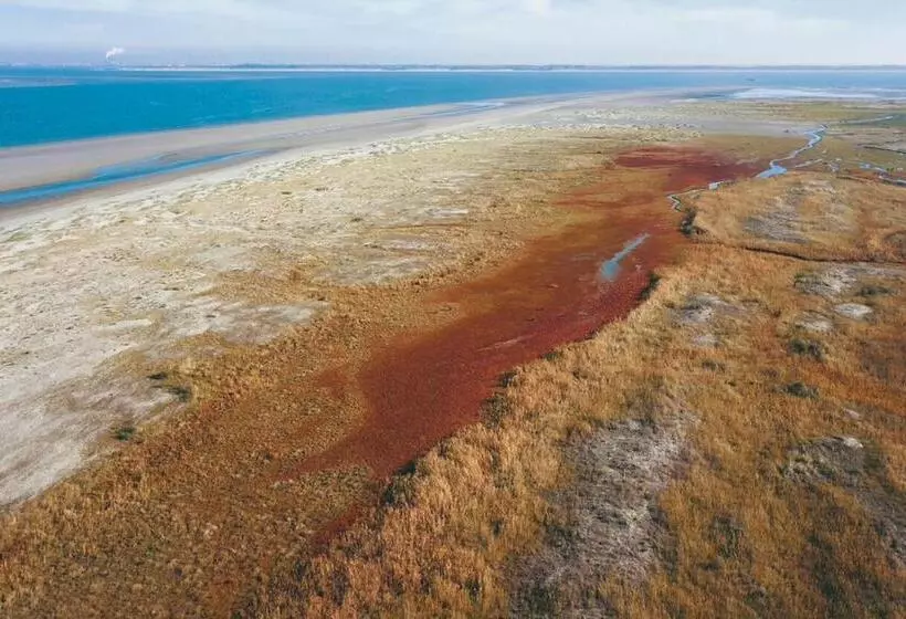Dock Hotel Stellendam