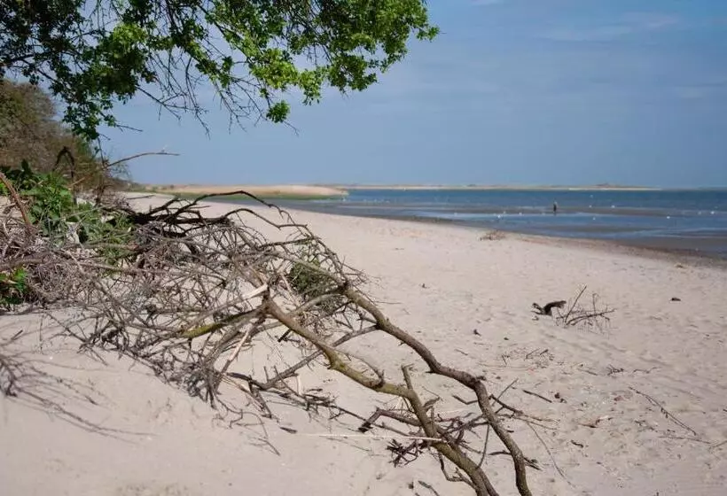 Dock Hotel Stellendam