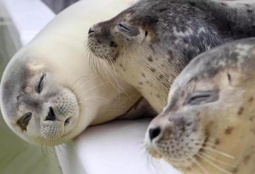 Dock Hotel Stellendam