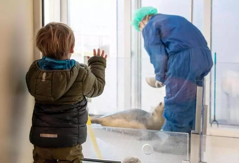 Dock Hotel Stellendam