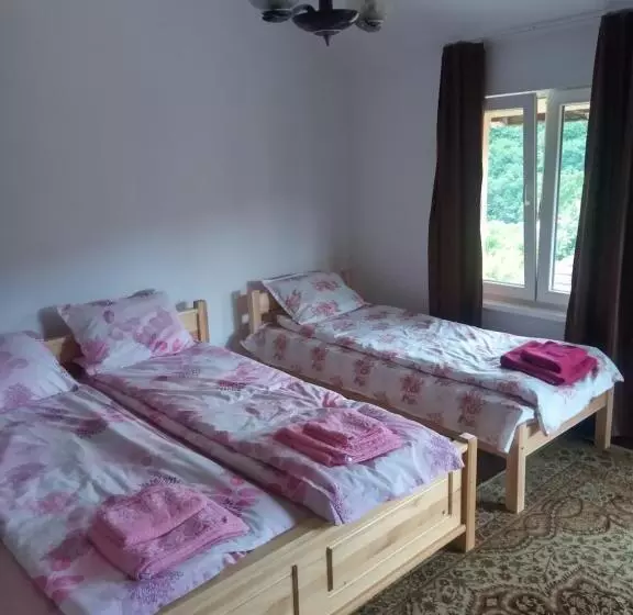 پانسیون Mercury Guest House