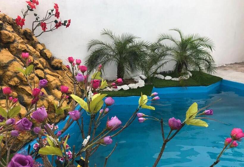 بنسيون Paraiso Dos Reis