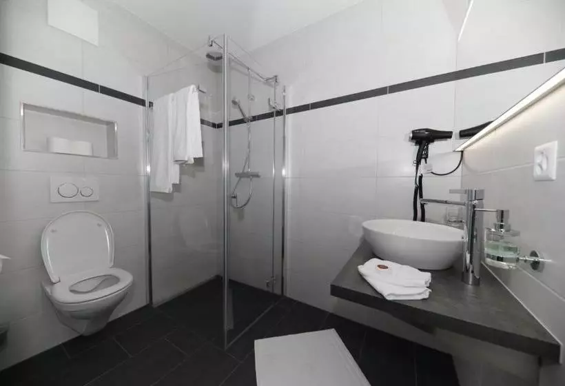 Aamiaismajoitus (B&B) Business Apartments Reichenburg