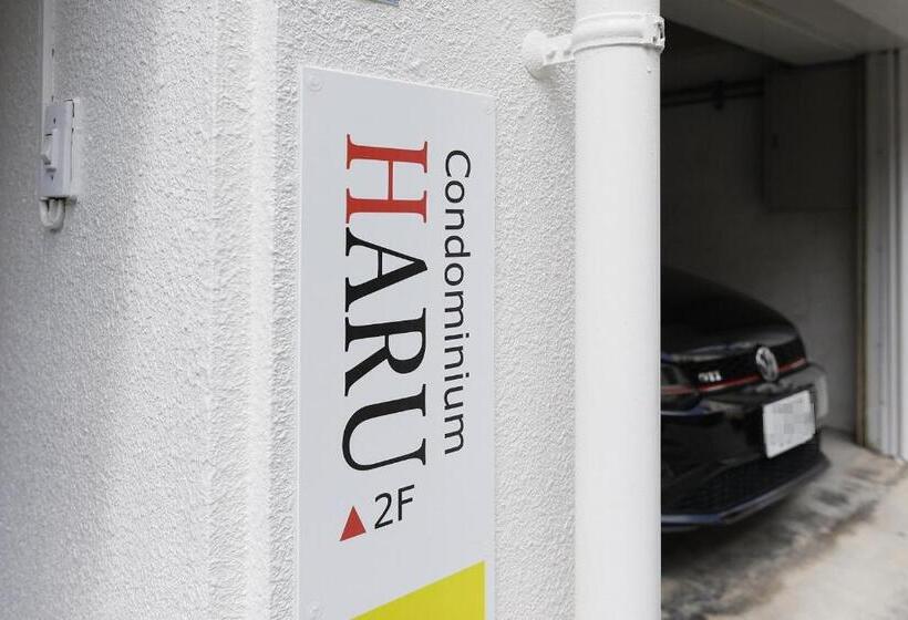 コンドミニアムharu 那覇県庁前 201