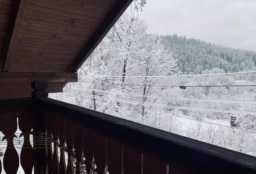 Majatalo бойківчанка