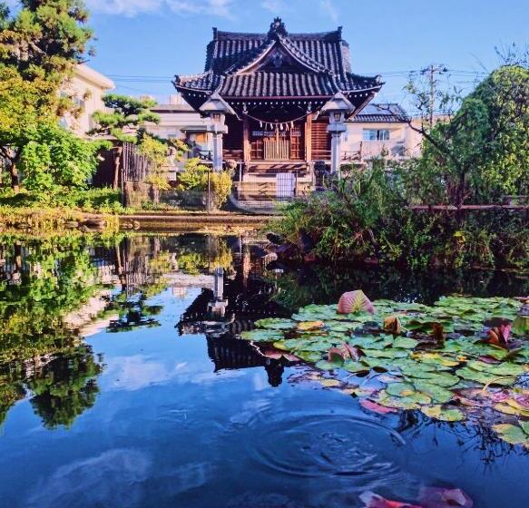 פנסיון 泊まれる図書館 寄処  Yosuga