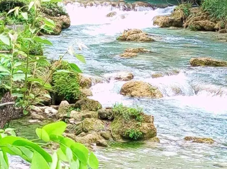 Majatalo Room In Cabin   Cozy Sierraverde Cabins Cabana La Ceiba