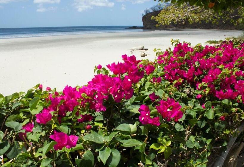 مبيت وإفطار La Veranera, Playa El Coco