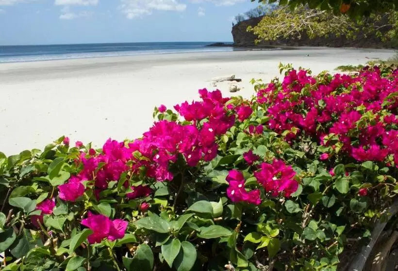 Aamiaismajoitus (B&B) La Veranera, Playa El Coco