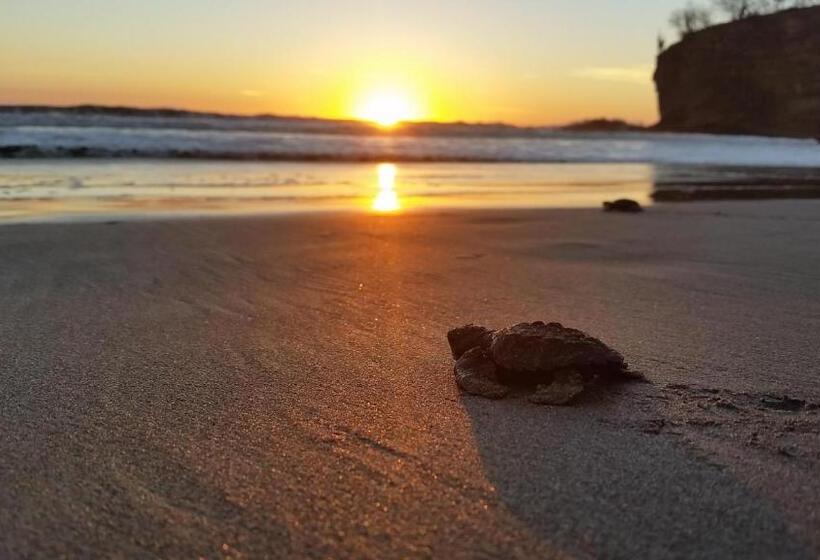 مبيت وإفطار La Veranera, Playa El Coco