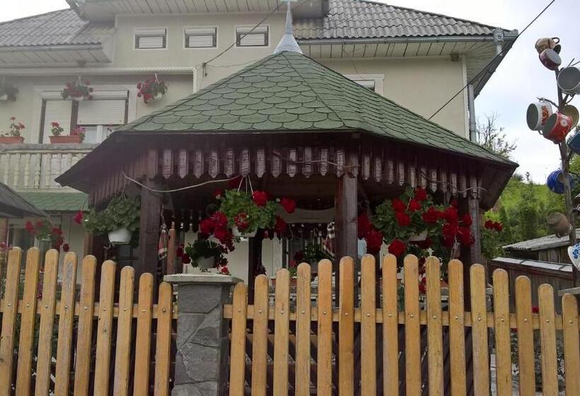 ペンション Casa Ionela Petreus