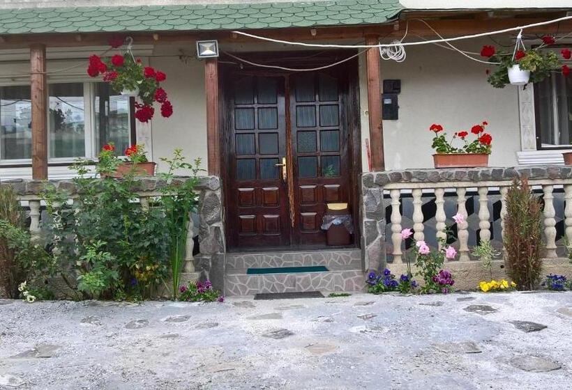 ペンション Casa Ionela Petreus